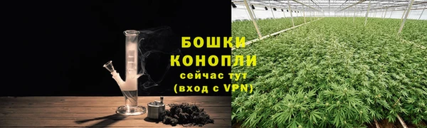 ПСИЛОЦИБИНОВЫЕ ГРИБЫ Наволоки